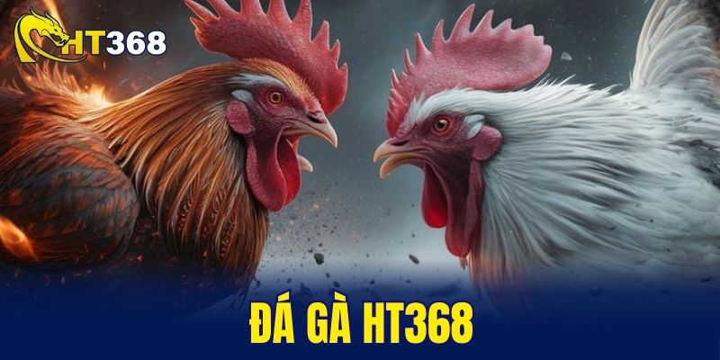 đá gà ht368