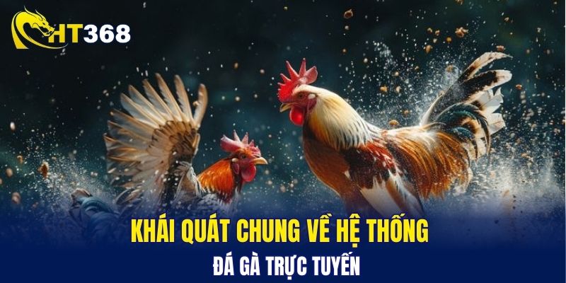 Khái quát chung về hệ thống đá gà trực tuyến