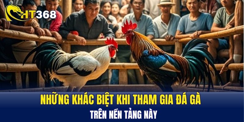 Những khác biệt khi tham gia đá gà trên nền tảng này